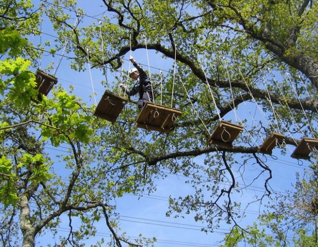 Cursos de aventura en Gironda 